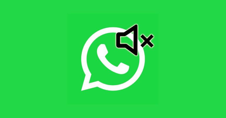 WhatsApp-silenciara-automaticamente-los-grupos.