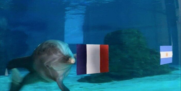 Nicholas, el delfín adivino, da a Francia la copa del Mundial