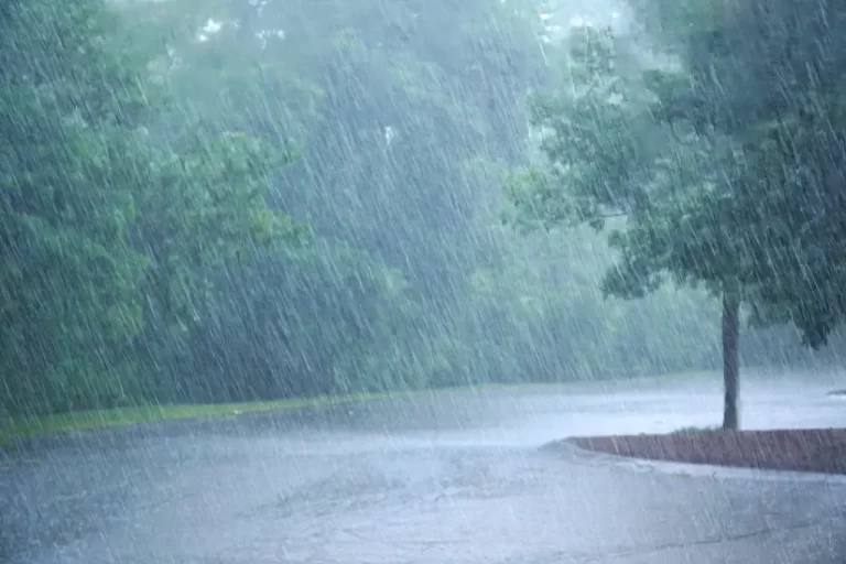 Pronóstico en Falcón: lluvias para este 15-Dic