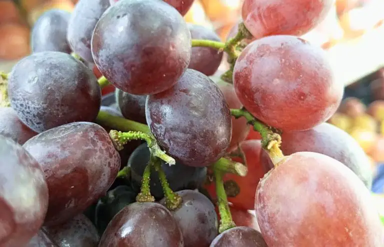 Tradición de las 12 uvas: ¿se perdió?