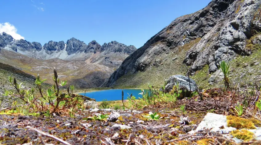 El Observatorio de Ecología Política de Venezuela denunció que El Parque Nacional Sierra Nevada en Mérida sigue bajo amenaza.