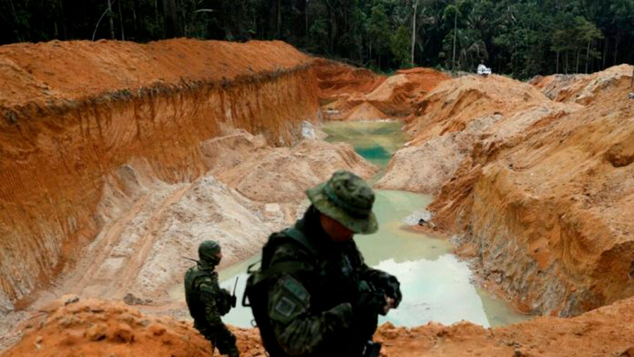 Arranca plan de reforestación en zonas afectadas por minería ilegal