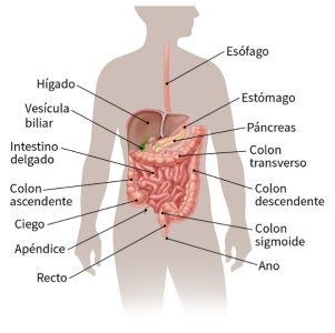 cáncer colorrectal