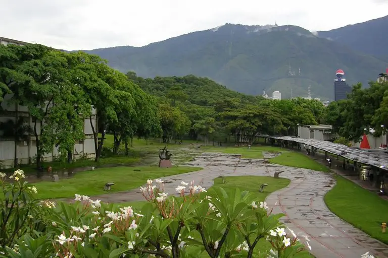 Estudiante violada dentro de la UCV (+Detalles)