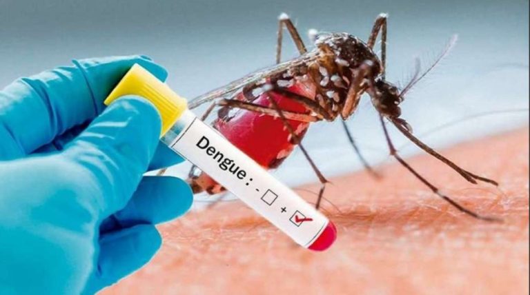 Argentina: Reportan más de 16 mil casos de dengue
