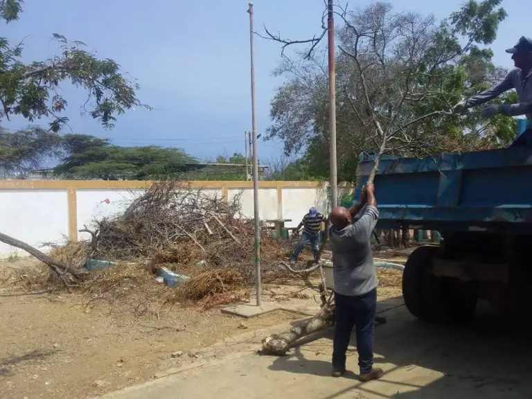 Gobierno municipal avanza en limpieza de Carirubana