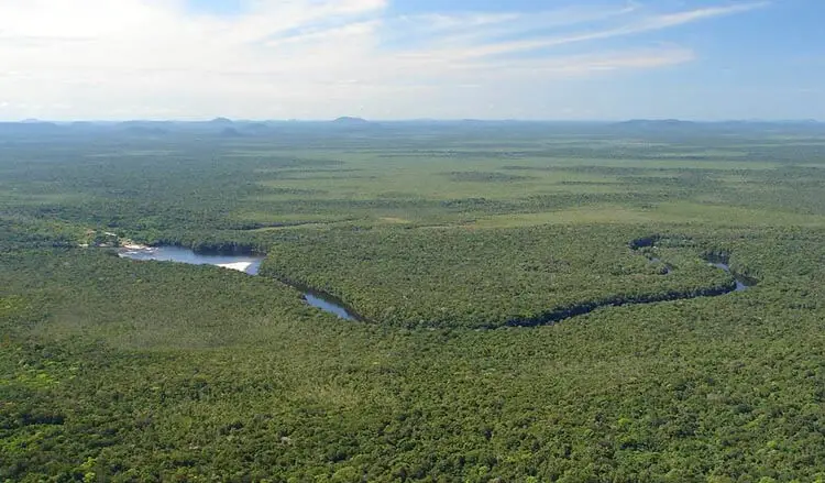 Brasil y Colombia alistan cumbre sobre la selva amazónica