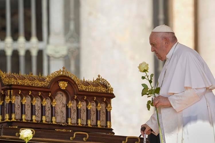 El Papa pide «no descuidar las otras guerras a menudo olvidadas»