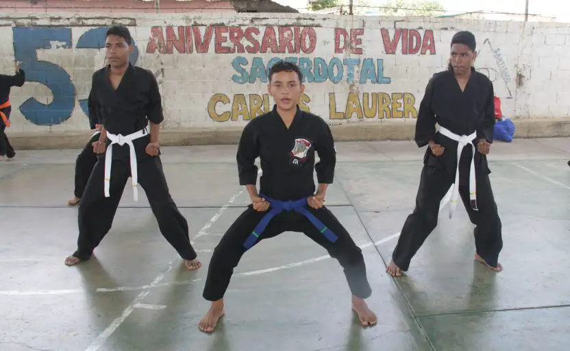 Festival de artes marciales
