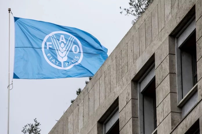 29 November 2021, Rome, Italy - FAO members' flags are hoisted outside the Food and Agriculture Organisation of the United Nations Headquarters on the occasion of the FAO Council 168th Session opening, FAO Headquarters.