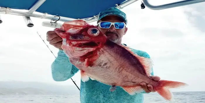 El extraño pez que capturó un pescador en La Guaira