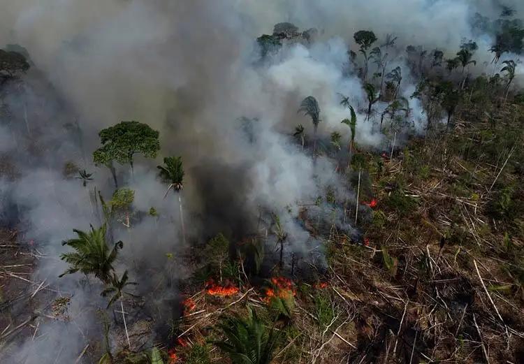 Proteger la Amazonía | ¿Por qué es tan importante?