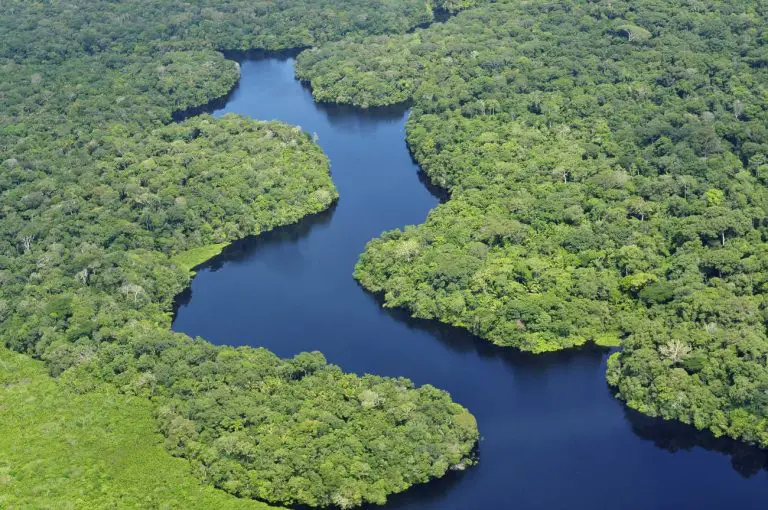 La Amazonía espera un cambio en la humanidad