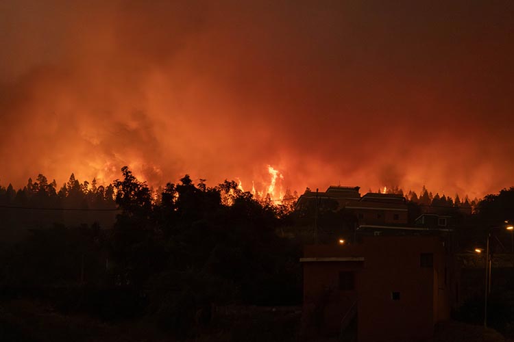 Vientos dificultan combate a incendios en Grecia y Canarias