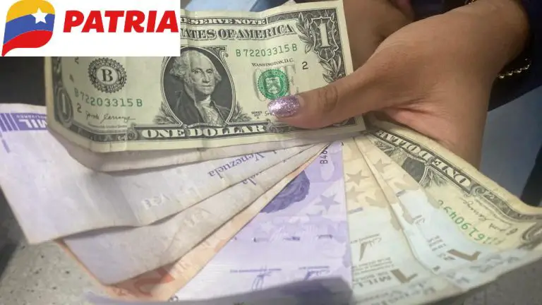 Pagan bono en Patria de $15: ¿cómo recibirlo?