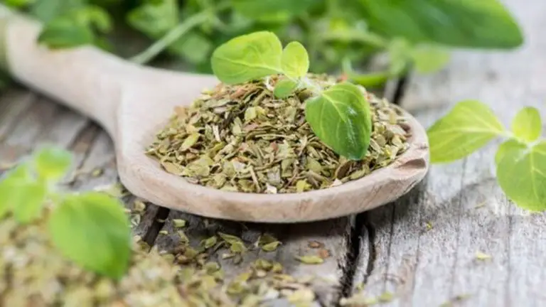 El té de orégano, cuáles son sus beneficios para la salud