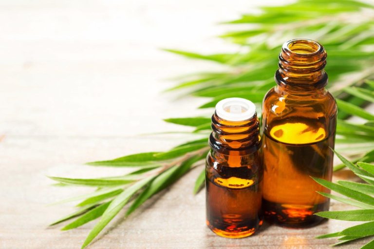 ¿Conoces los beneficios del aceite de árbol de té para combatir el acné?