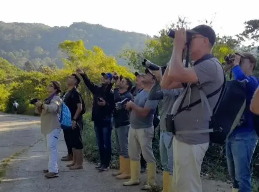 El grupo de observadores de aves del país realizó el primer encuentro en Curimagua, Sierra de San Luis del estado Falcón.