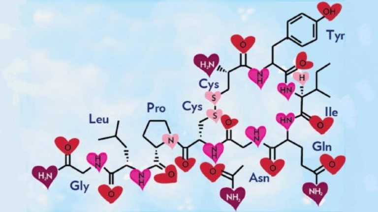 La oxitocina la hormona del amor y del sexo: ¿cómo nos afecta?
