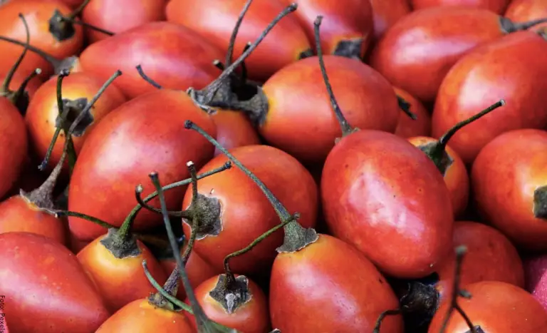 Consumo de jugo de tomate de árbol ayuda a prevenir la anemia