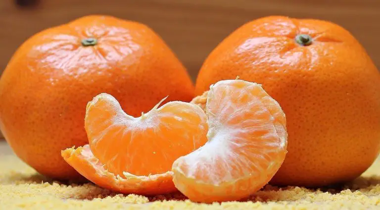 Descubre cuál es la utilidad de la mandarina para bajar de peso