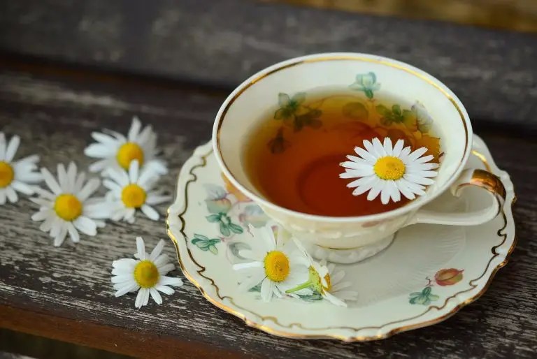 Estos son los beneficios de tomar una taza de té por las mañanas