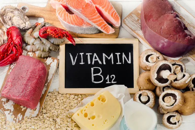 Vitamina B12 es clave en la reprogramación de las células y regenerar los tejidos