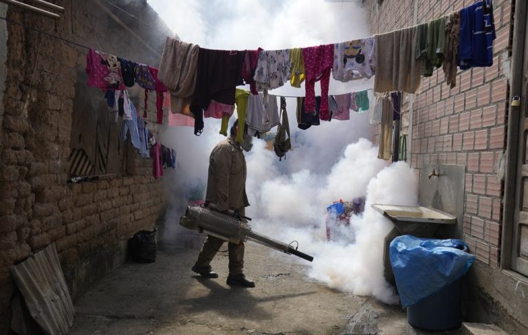 OMS: casos de dengue se han multiplicado por 10 en el mundo