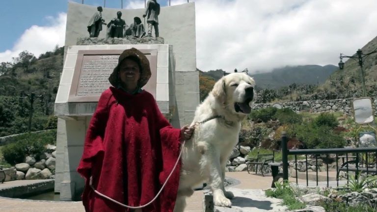 Certifican a perros Mucuchíes como la única raza pura de Venezuela