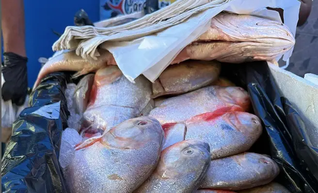 Falcón entre los estados con mayor producción pesquera