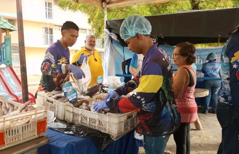 Venezuela Come Pescado: distribuidas más de 8 toneladas en Falcón
