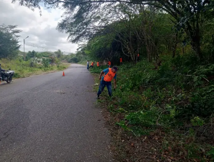 Como parte del mantenimiento en las Vías de Falcón, un equipo ejecuta trabajos de desmalezamiento en la Troncal 004 a la altura de Churuguara.