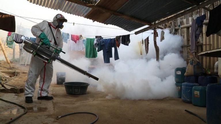 La OPS estima la peor temporada de dengue en América Latina