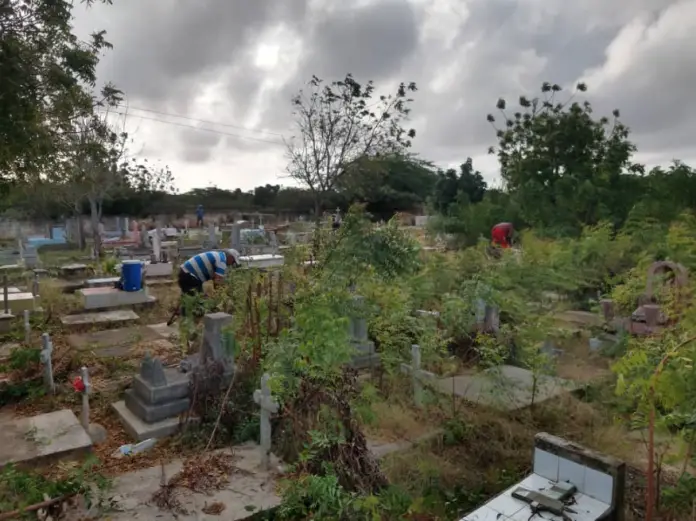 La Dirección de Servicios Públicos de la alcaldía del municipio Falcón comenzó un operativo de limpieza, en el cementerio Corazón de Jesús de Pueblo Nuevo.