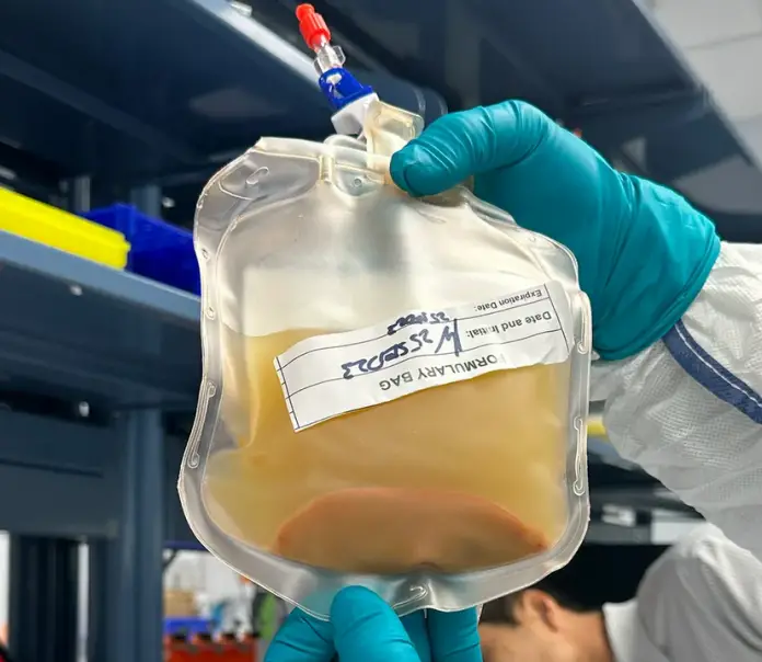 Científicos intentan cultivar un nuevo hígado en miniatura
