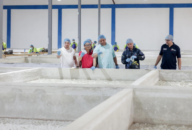 Venezuela exportará medusas a China desde planta procesadora de Falcón