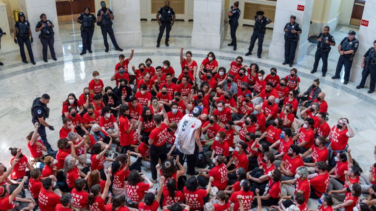 Cientos de activistas propalestinos toman el Capitolio de EE. UU.