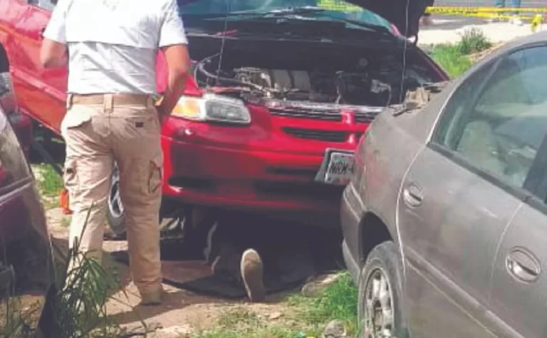 Murió mecánico aplastado por un vehículo (DETALLES)