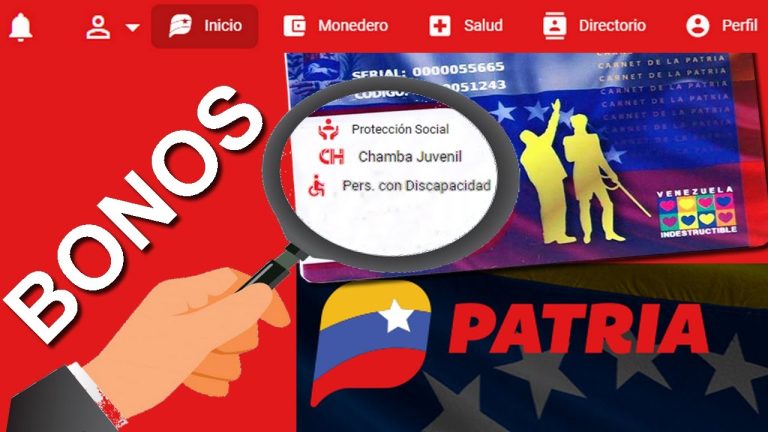 ¡ATENCIÓN! Estos bonos están activos en Patria (Montos)