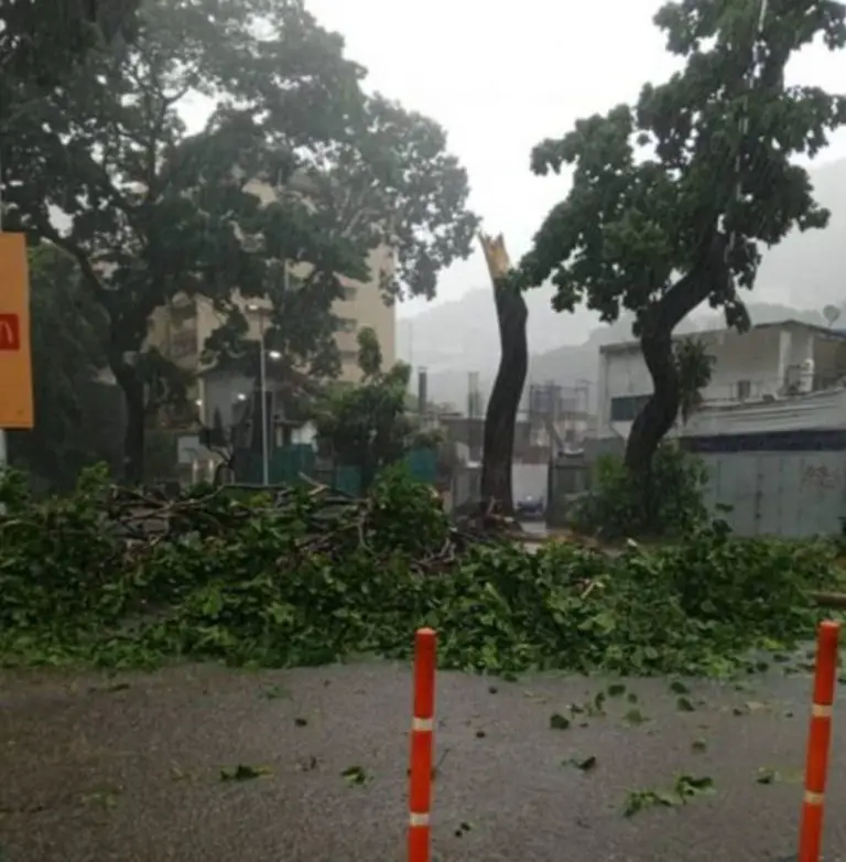 Fuertes lluvias en Caracas la tarde del lunes (Video)