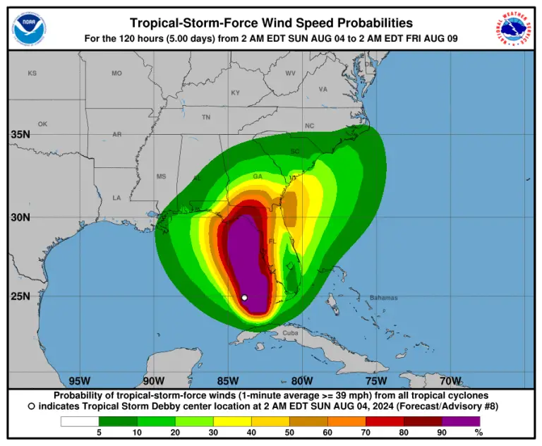 Tormenta tropical Debby genera alerta en la Florida