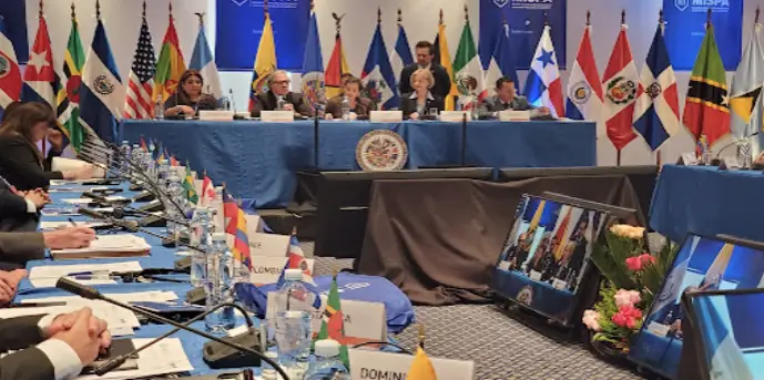 La OEA insiste en la publicación de las actas electorales de Venezuela