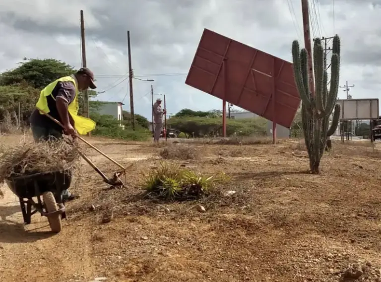 Alcaldía de Falcón promueve limpieza y creación de un jardín xerófito