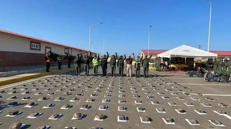 Incautación de droga en Paraguaná, este es el balance +FOTOS