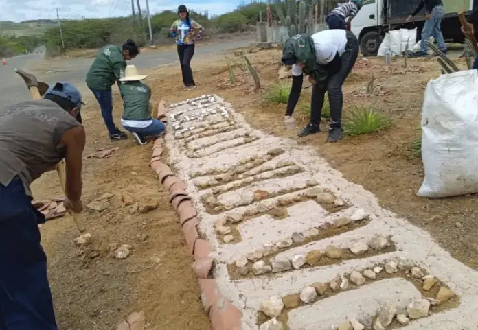 Ambientar espacios acorde a los elementos naturales forman parte del plan de ornato por lo que la Alcaldía de Falcón creó un jardín xerófito.