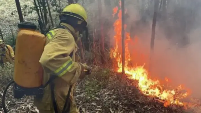 El jefe del Centro de Operaciones de Emergencia Nacional (COEN) reveló que durante el año en curso se han presentado 22 incendios forestales.