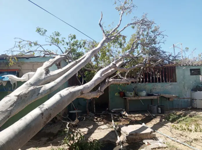 El Sistema Nacional de Gestión de Riesgo reportó este domingo el daño de una vivienda ocasionada por la caída de un árbol en la comunidad de Tropicana.