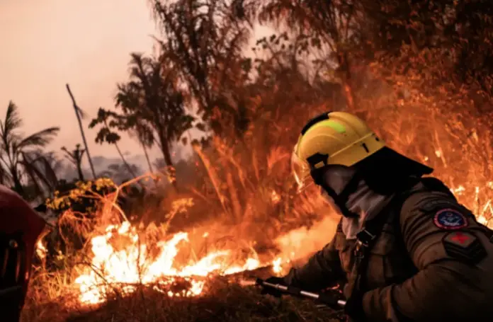 Durante los primeros nueve meses de 2023, América del Sur ha experimentado un dramático aumento en la incidencia de incendios forestales.