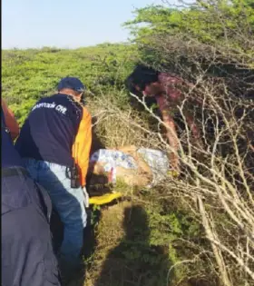 Una pareja que viajaba en un vehículo esta mañana del jueves 10 de octubre, por la carretera Coro-Punto Fijo, sufrió un vuelco en el sector Cararapa, municipio Falcón.