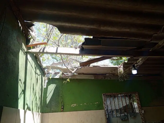 El Sistema Nacional de Gestión de Riesgo reportó este domingo el daño de una vivienda ocasionada por la caída de un árbol en la comunidad de Tropicana.